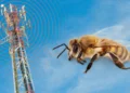 Zbulim shqetësues: Bletët dyshohet se braktisin kosheret kur ekspozohen ndaj antenave 5G