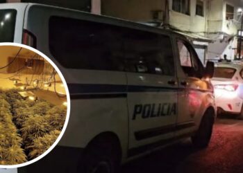 Shtëpi bari në “Sarandë”, sekuestrohen 250 rrënjë kanabis