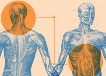 Shkencarët zbulojnë : Kemi një tru të dytë në stomak