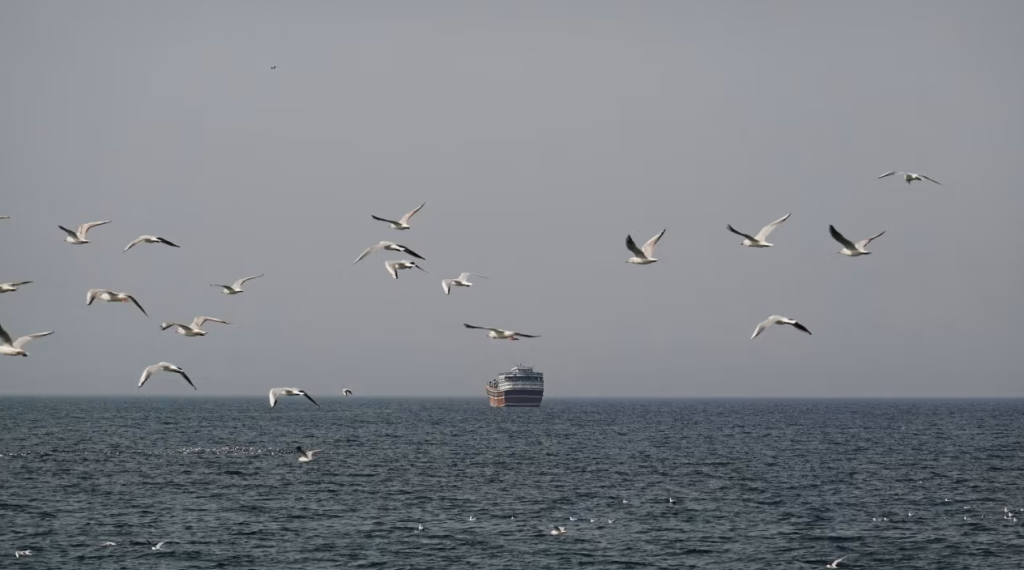 Iran closes the Strait of Hormuz: We will set fire to any ship that passes through