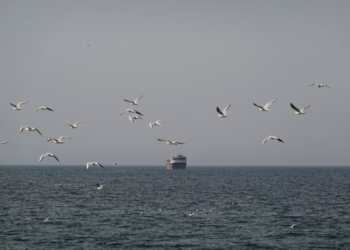 Iran closes the Strait of Hormuz: We will set fire to any ship that passes through