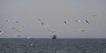 Iran closes the Strait of Hormuz: We will set fire to any ship that passes through