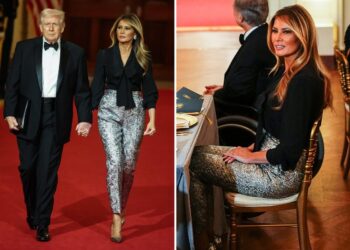 Melania Trump criticized for not wearing a classic dress at the governors’ dinner